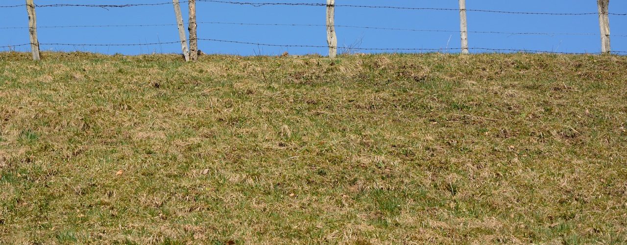 marquage des limites de propriété