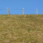 marquage des limites de propriété