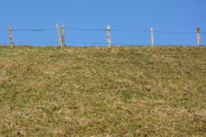 marquage des limites de propriété